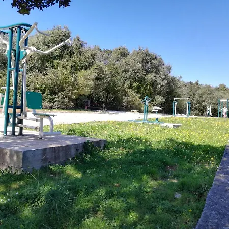Baselak