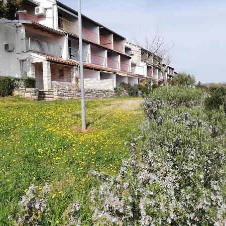 Apartment Baselak *